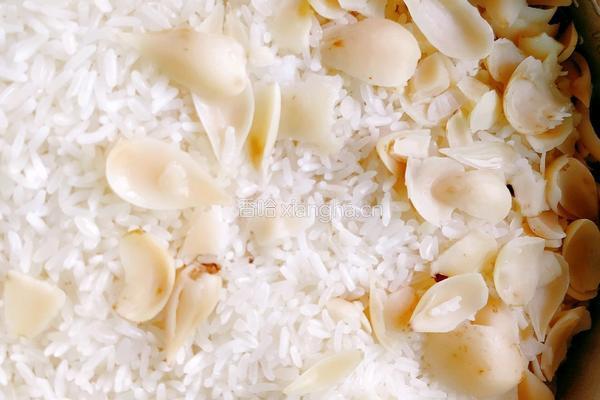 枸杞百合滋补醪糟的做法图解4