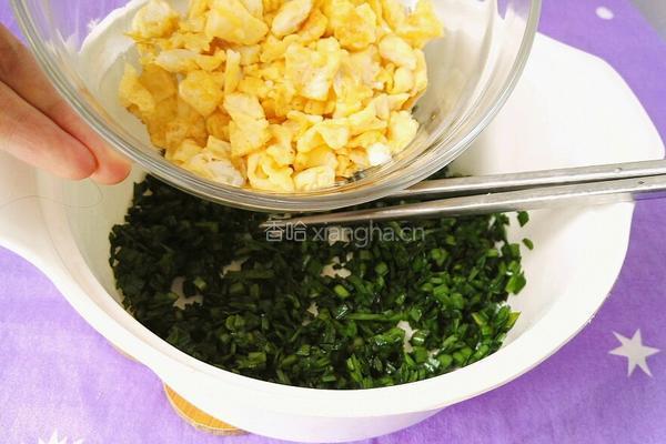 韭菜鸡蛋饺子的做法图解10