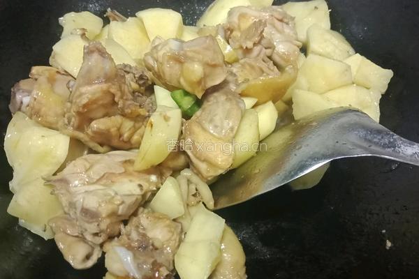 鸡肉炖土豆的做法图解5