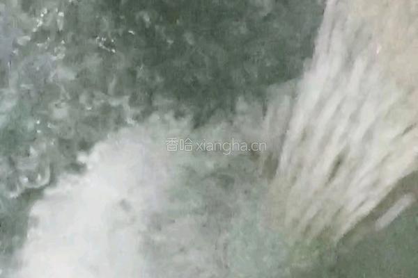 水果仙草西米露的做法图解9
