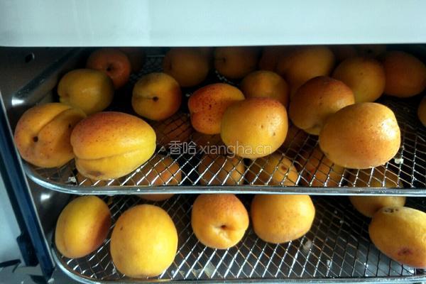 原味烘干杏脯的做法图解4