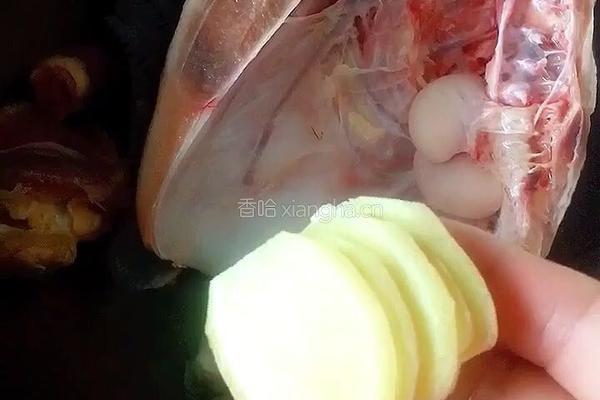 泻火胡萝卜鸡汤的做法图解5