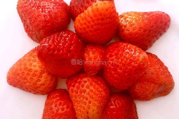 莓桔传情的做法图解5