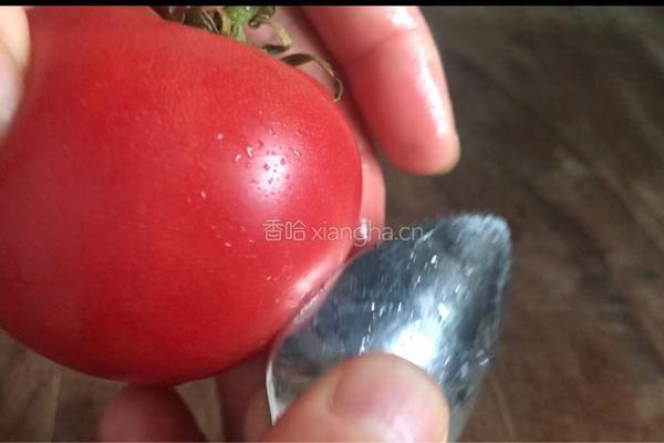 番茄黄瓜汁的做法图解3