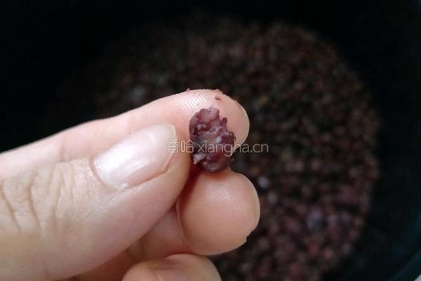 红豆紫薯包子的做法图解8