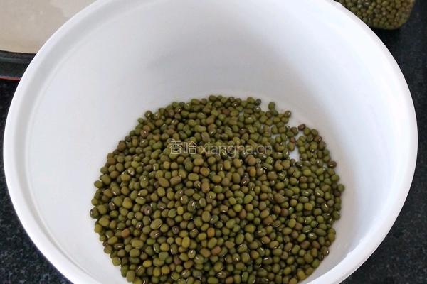 绿豆汤的做法图解1