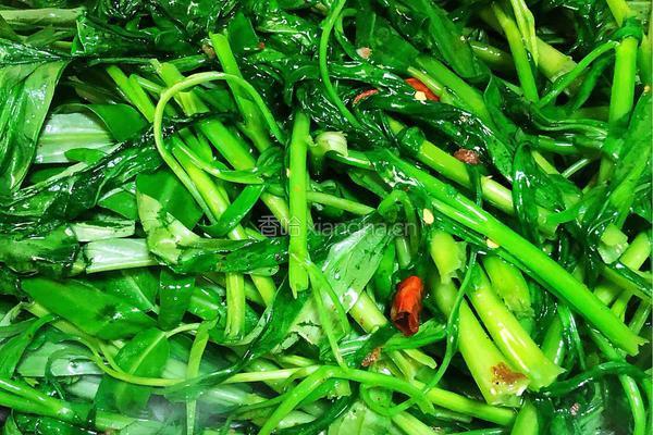 干豆豉蒜蓉炒通菜的做法图解3