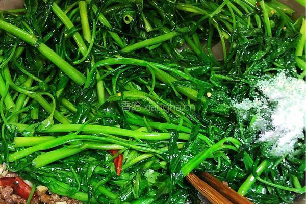 干豆豉蒜蓉炒通菜的做法图解4