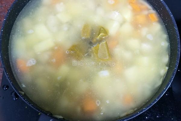进阶版土豆鸡肉咖喱饭的做法图解5