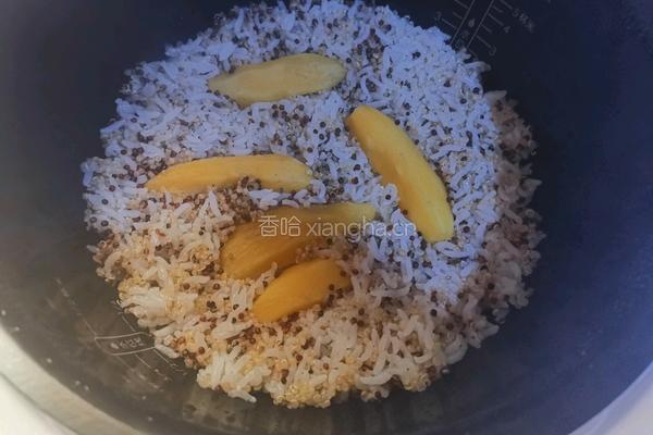 藜麦红薯饭的做法图解4