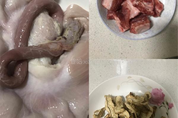 猪肚排骨汤的做法图解1