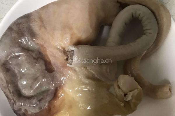 猪肚排骨汤的做法图解6