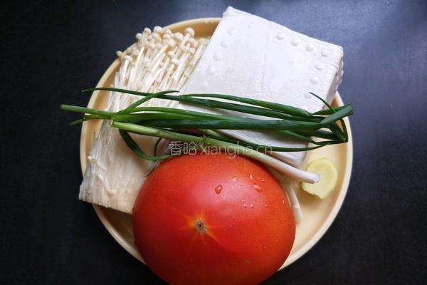 茄汁金针菇炖豆腐的做法图解2