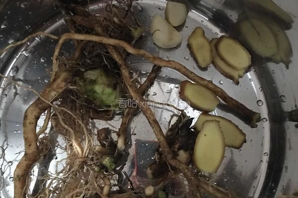 防风草炖老鸡的做法图解4