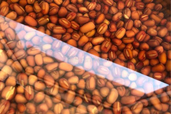 糯米粉豆沙切糕的做法图解1