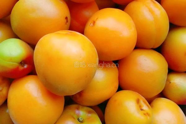 自制杏脯的做法图解1