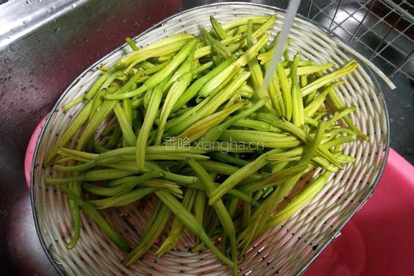 凉拌黄花菜的做法图解2