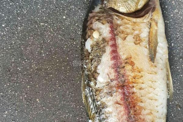 野生鲤鱼豆腐汤的做法图解4