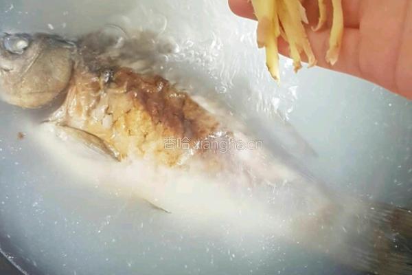 野生鲤鱼豆腐汤的做法图解8