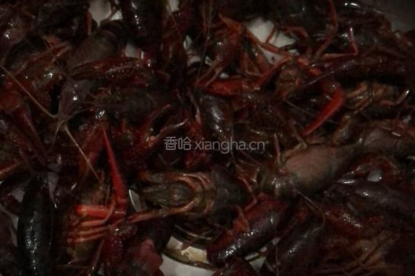 麻辣小龙虾的做法图解1