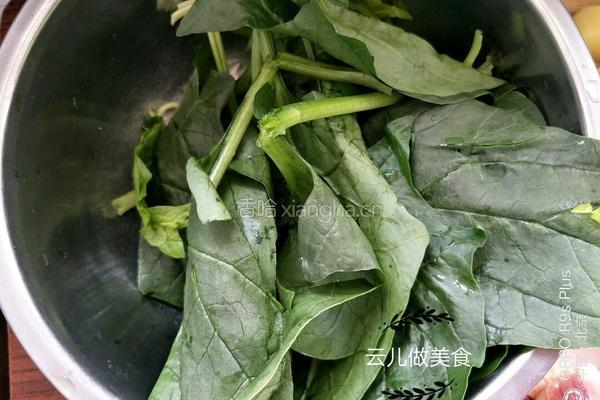 手擀菠菜面条的做法图解1