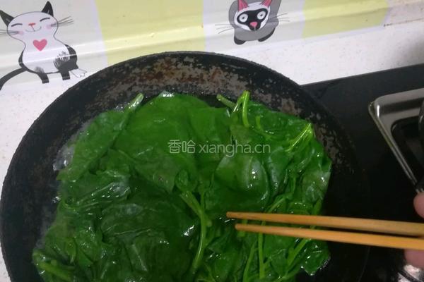 蒜蓉木耳菜的做法图解5