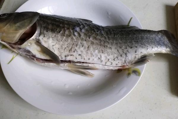鲫鱼豆腐汤的做法图解1