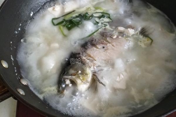 鲫鱼豆腐汤的做法图解10