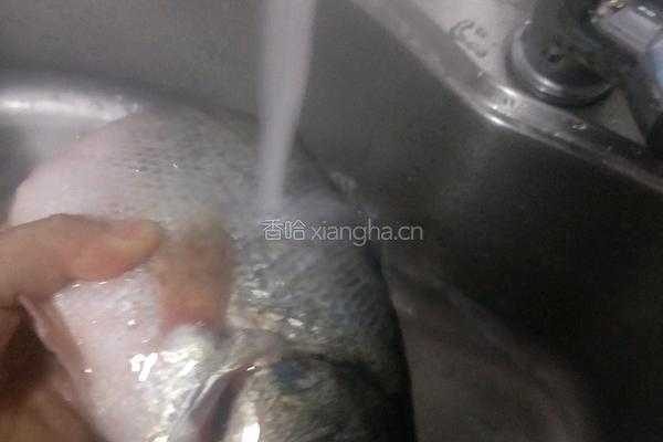 清蒸鲈鱼的做法图解2