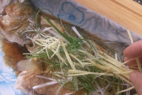 清蒸鲈鱼的做法图解19