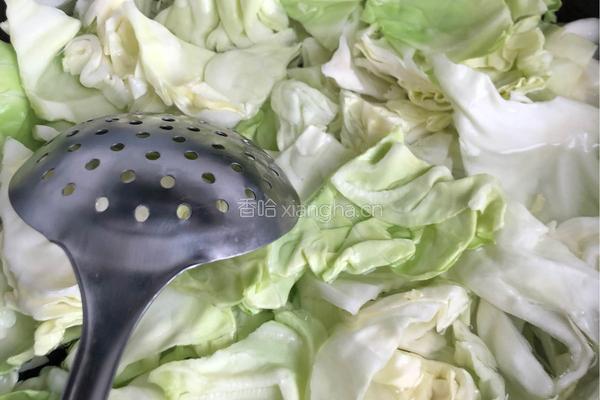炝炒圆白菜的做法图解5