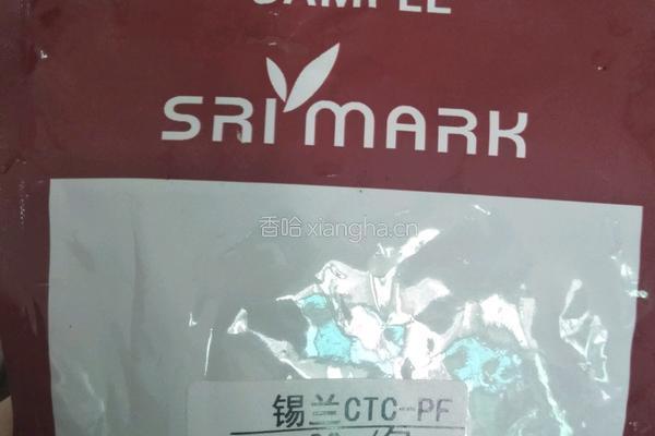 西瓜冰泡锡兰茶的做法图解5