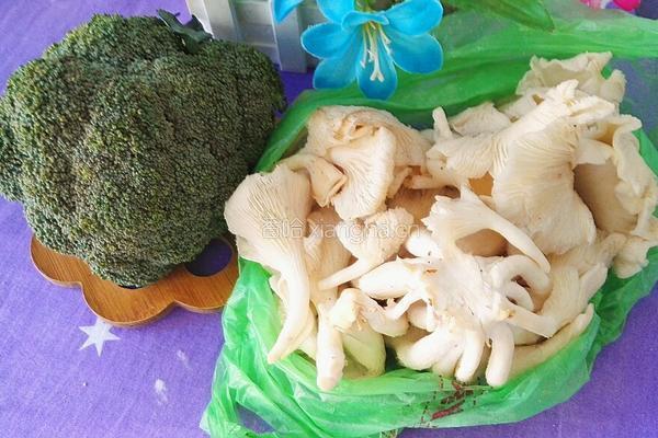 绿叶对根的深情的做法图解1