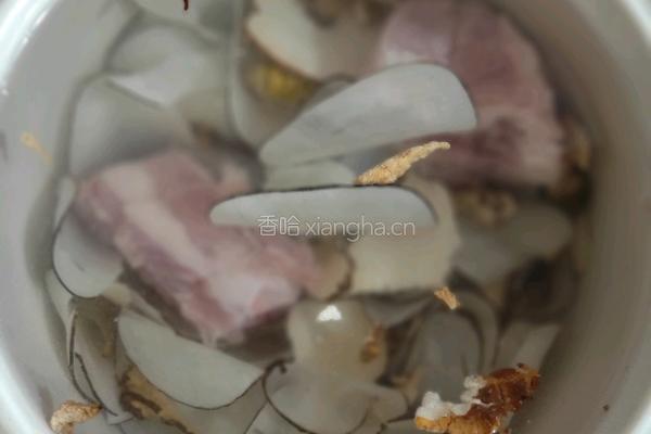 虎乳菌石斛海底椰排骨汤的做法图解3