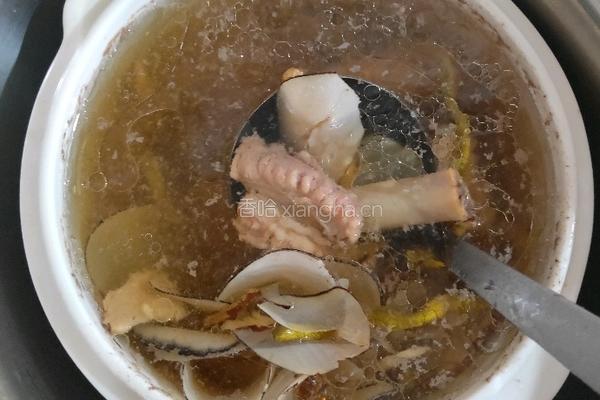 虎乳菌石斛海底椰排骨汤的做法图解5