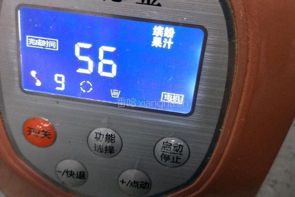 西红柿黄瓜生饮的做法图解10