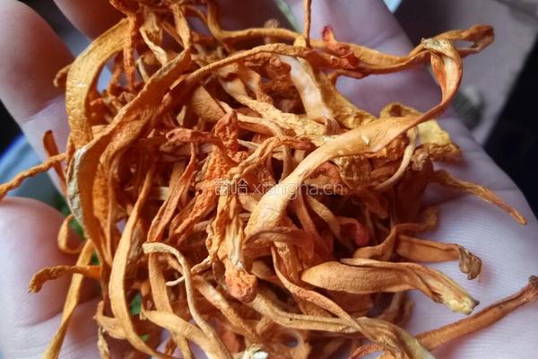 独创虫草花山药什锦海鲜菇菌汤的做法图解2