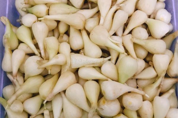 剁椒腌茭头的做法图解1