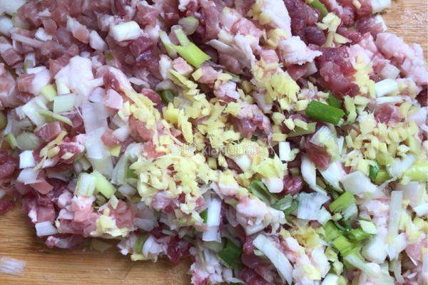 猪肉大葱饺子?的做法图解2
