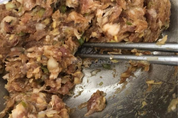 猪肉大葱饺子?的做法图解3