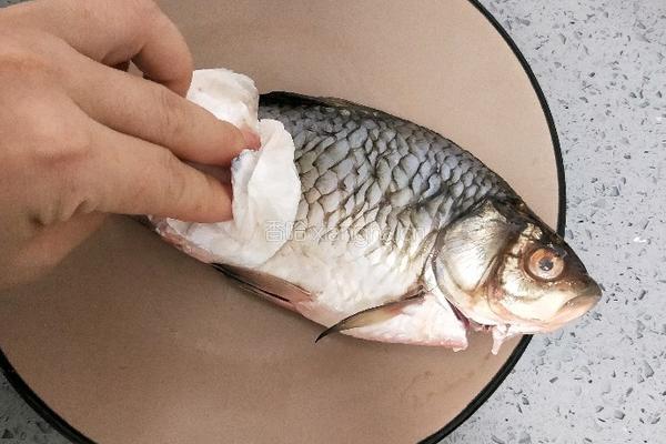 鲫鱼豆腐汤的做法图解3