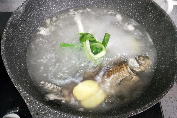 鲫鱼豆腐汤的做法图解8