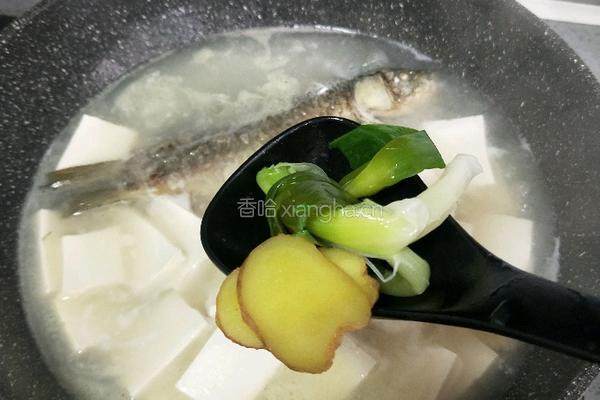 鲫鱼豆腐汤的做法图解12
