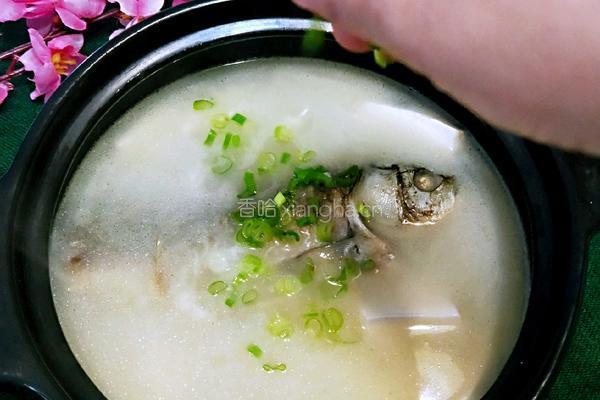 鲫鱼豆腐汤的做法图解15