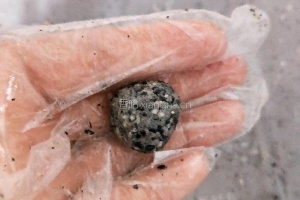 黑芝麻馅的做法图解13