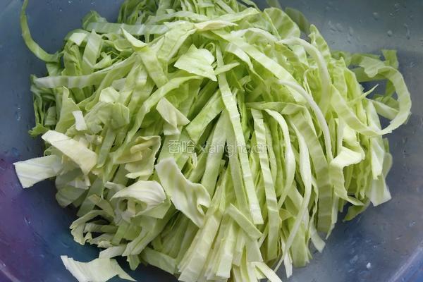 电饭锅版白菜煎饼的做法图解2