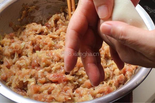 夏季祛湿 冬瓜猪肉馅儿饺子的做法图解8