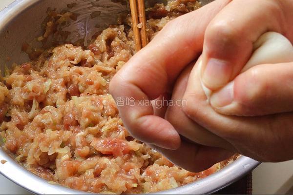 夏季祛湿 冬瓜猪肉馅儿饺子的做法图解9