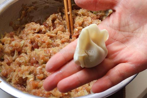 夏季祛湿 冬瓜猪肉馅儿饺子的做法图解10
