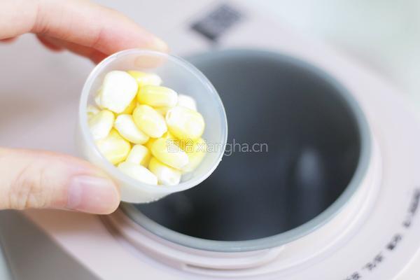 玉米豆浆的做法图解2